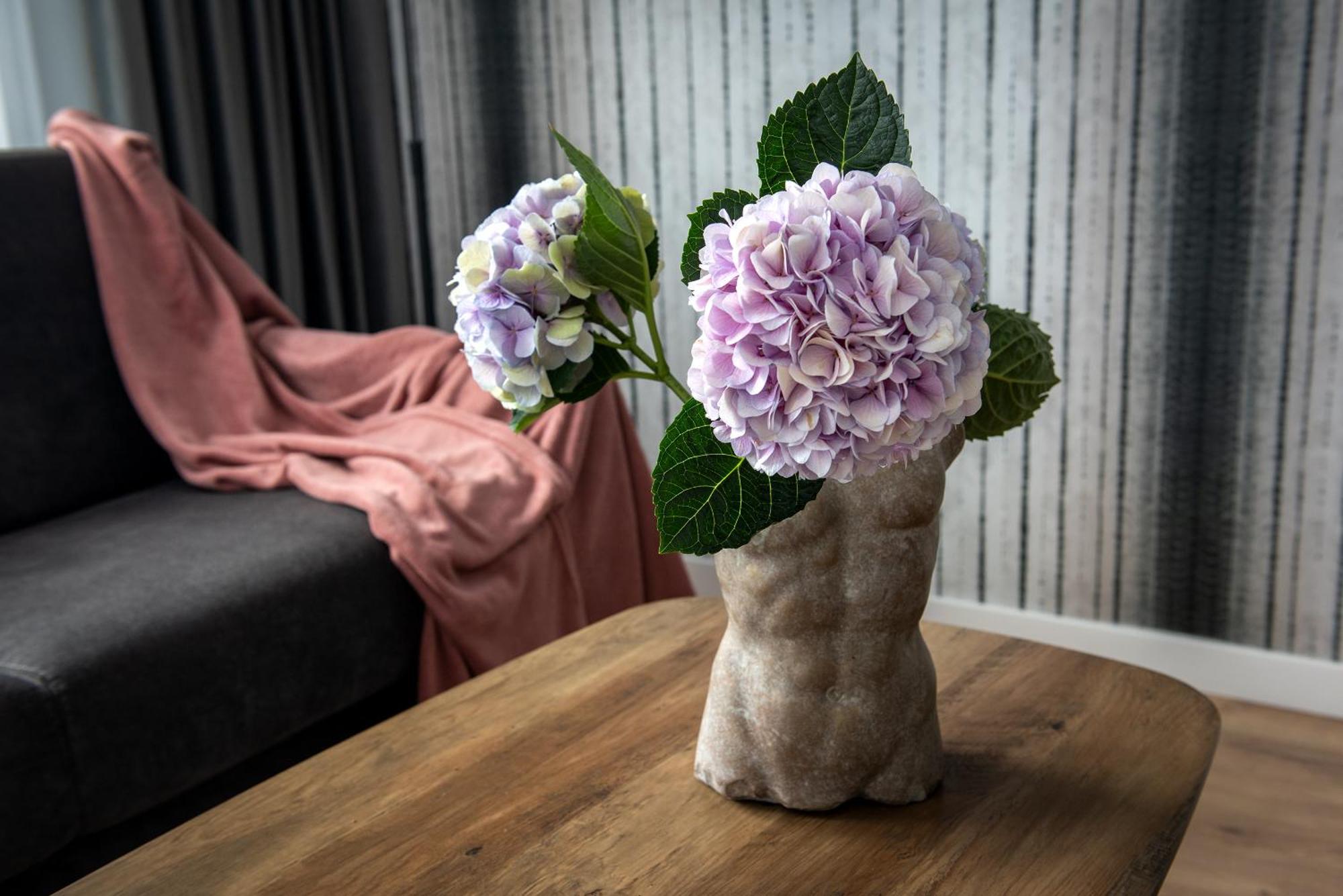 Inpoint Spacious Apartments Near Main Square & Kazimierz District Krakow Ruang foto